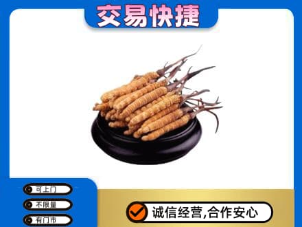 保定回收冬虫夏草多少钱每克